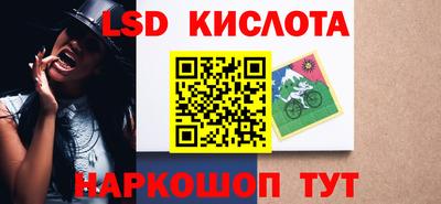 шишки Тара