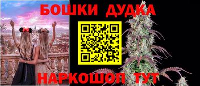 шишки Тара