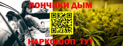 шишки Тара
