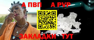 шишки Тара