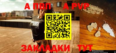 шишки Тара
