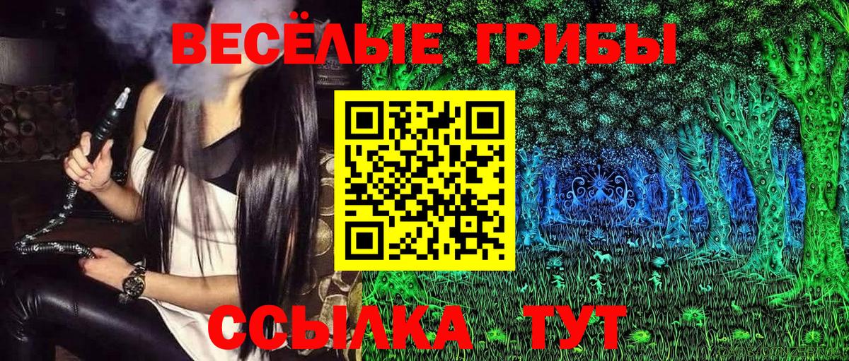 Галлюциногенные грибы Psilocybine cubensis Бахчисарай
