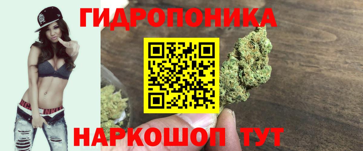 Бошки Шишки семена Бахчисарай